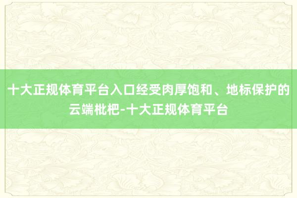 十大正规体育平台入口经受肉厚饱和、地标保护的云端枇杷-十大正规体育平台