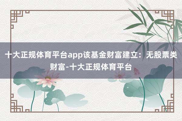 十大正规体育平台app该基金财富建立：无股票类财富-十大正规