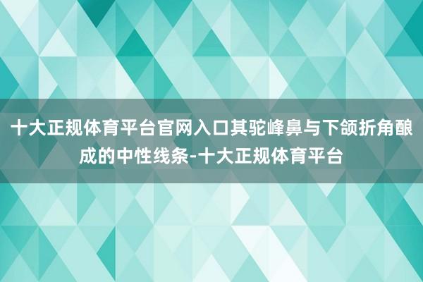 十大正规体育平台官网入口其驼峰鼻与下颌折角酿成的中性线条-十
